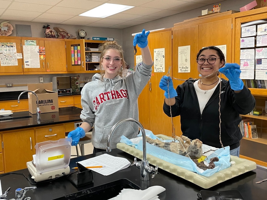 Biomedical students dissecting a pig