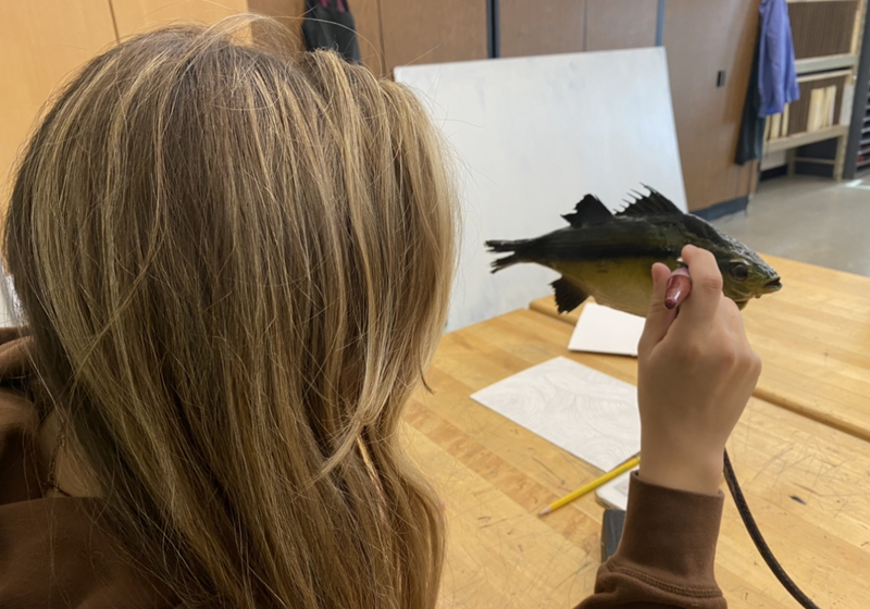 Girl airbrush painting a fish